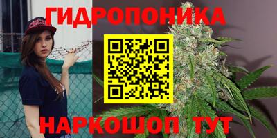 ГАЛЛЮЦИНОГЕННЫЕ ГРИБЫ Моздок