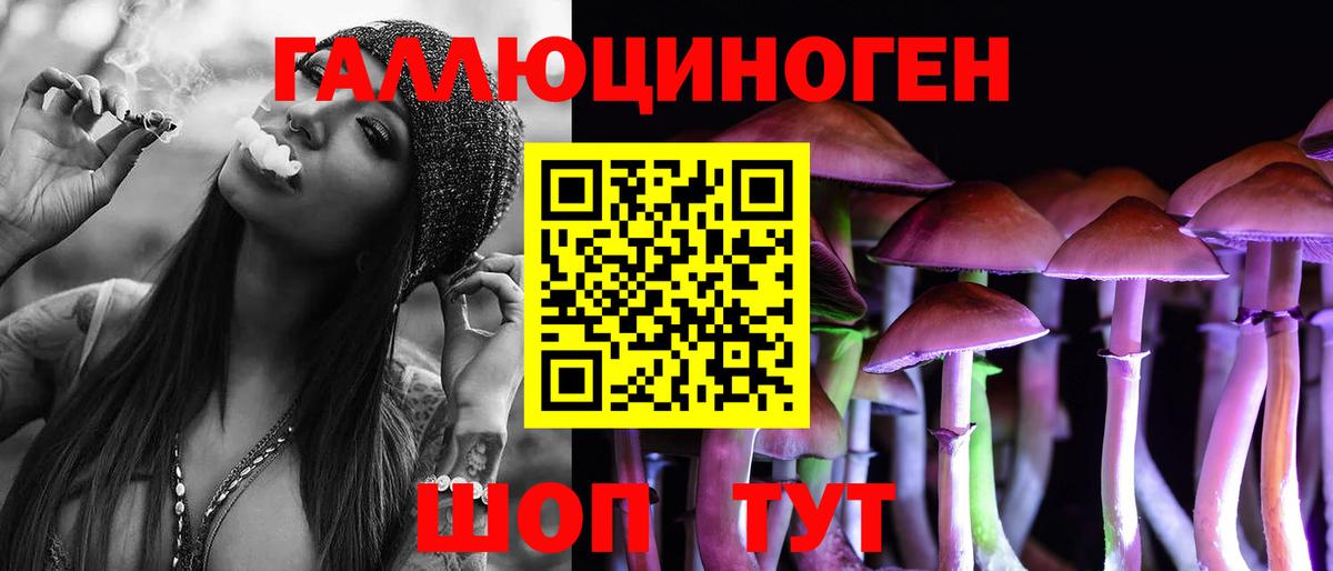 Владимир  Псилоцибиновые грибы Magic Shrooms  Вход с VPN 