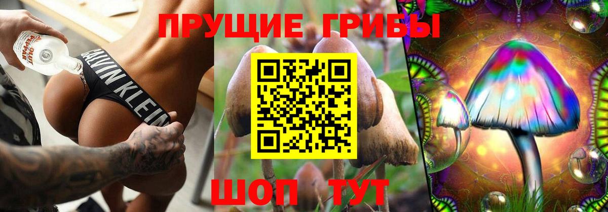 Псилоцибиновые грибы GOLDEN TEACHER Владимир